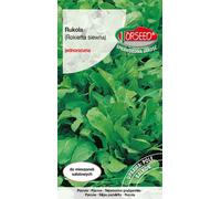 Graines de Roquette annuelle (Eruca sativa) 0.5g - Torseed