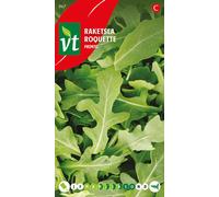 Graines de roquette Pronto - Env. 2 gr | VT_967