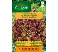 Graines de salade - Salade coupée Red Salad Bowl de Vilmorin