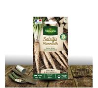 Graines de Salsifis Mammouth - Vilmorin