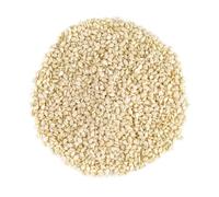 Graines de Sésame Blanches Bio - Crues Décortiquées Origine Unique