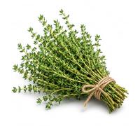 Graines de thym à semer | Graines aromatiques sélectionnées | Herbes à semer pour cuisine, potager et balcon