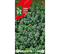 Graines de thym d'hiver - Environ 0,5 gr | VT_2971