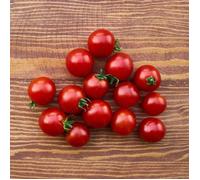 Graines de Tomate Cerise - Vilmorin