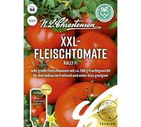 Graines de tomates de viande XXL Rally F1 - Très grandes tomates de viande avec environ 500 g de fruits