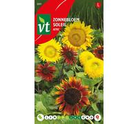 Graines de tournesol aztèque - Environ 1,25 gr | VT_889