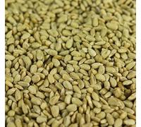 Graines de Tournesol BusyBeaks - Nourriture de qualité de Boulangerie pour Oiseaux Sauvages (10kg)