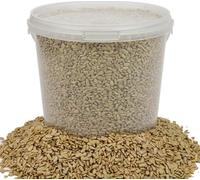 Graines de tournesol BusyBeaks - Nourriture de qualité de boulangerie pour oiseaux sauvages (2.5L)