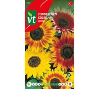 Graines de tournesol Distino - Environ 1 gr | VT_884