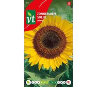 Graines de tournesol Domino - Environ 1 gr | VT_894