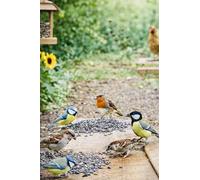 Graines de Tournesol Entières pour Oiseaux du Jardin & Basse-Cour, Alimentation Animale, Sac de 2,8 kg / 4,6 kg / 15 kg, Origine France MGI Développement (2,8KG)