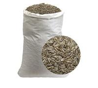 Graines de Tournesol Géantes de Chine - Calibre Exceptionnel et Coque Striée - Sac de 25kg