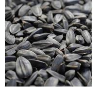 Graines de tournesol noires 20 kg, Nourriture pour oiseaux