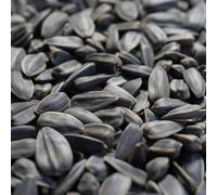Graines de tournesol noires 20 kg, nourriture pour oiseaux, nourriture pour oiseaux en hiver