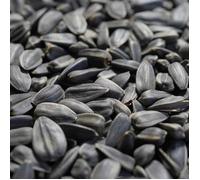 Graines De Tournesol Noires 20 Kg, Nourriture Pour Oiseaux