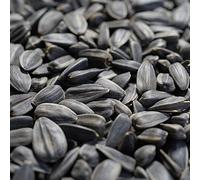 Graines de tournesol noires 25 kg - Nourriture pour oiseaux d'hiver