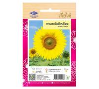 Graines de Tournesol Thaïlandais à Semer - Sunflower Décoratif - 35 graines - CHIA TAI (Home Garden) - Import Thaïlande - Grandes Fleurs Solaires pour Jardin ou Balcon