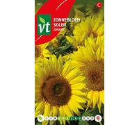 Graines de tournesol Topolino - Environ 1 gr | VT_887