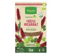 Trèfle Incarnat - BIO - Grand Modèle