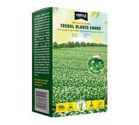 Graines de trèfle nain blanc repens 1 Kg
