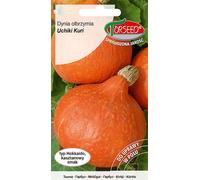 Graines de Uchiki Kuri 2g Courge géante - Torseed