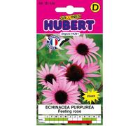 Graines d'Echinacea Purpurea - Feeling Pink - 15 graines - Vivace - Floraison dès la première année - Hauteur 50 cm