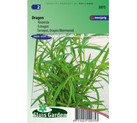 Graines d'estragon - Les herbes aromatiques - Env. 0,15 g | SG2075