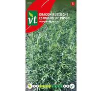 Graines d'estragon russe - Env. 0,5 gr | VT_2941