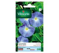 Graines D'ipomée Grande Fleur Bleue Vilmorin