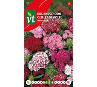 Graines d'oeillet de poète double - Environ 0,75 gr | VT_771