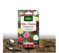 Graines d'Oeillet des fleuristes Triomphe varié - Vilmorin