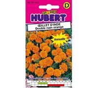 Graines d'Oeillet d'Inde Double Nain - Orange éclatant - Environ 500 graines - 1 5 g - Fleurs doubles - Hauteur 20 cm