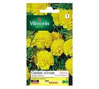 Graines D'oeillet D'inde Globe Citron Vilmorin