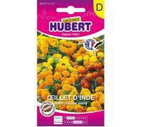 Graines d'Oeillet d'Inde Nain Double - 1 5 g - Environ 450 graines - Hauteur 25 cm - Fleurs doubles