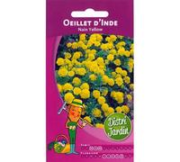 Graines d'oeillet d'inde nain yellow 1g