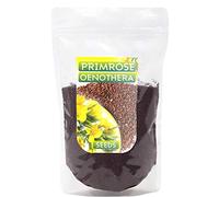 Graines d'onagre 500G cultivées en Europe