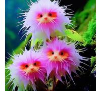 Graines d'Orchidée Chat - 100 Graines d'Orchidée, Fleurs Vivaces à Planter | Graines de Fleurs pour Intérieur et Extérieur (G)