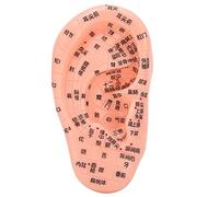 Graines d'oreille d'acupuncture modèle Aspidosperma Mother Ti, modèle de zone de réflexe auriculaire, modèle de zone de réflexe d'oreille, modèle de massage de point d'acupuncture d'oreille humaine