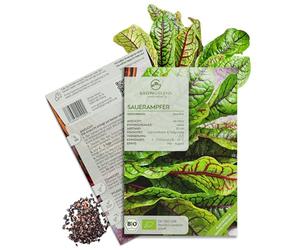 Graines d'oseille BIO - Graines d'herbes aromatiques issues de l'agriculture biologique, idéales pour le potager, le balcon et le jardin (200 graines)