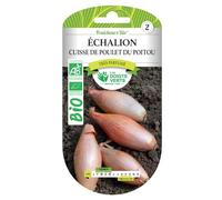 Graines échalion Cuisse de Poulet du Poitou BIO Les Doigts Verts