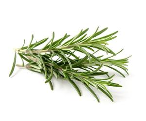 Graines en sachet hermétique, Qualité supérieure, Germination 95%, Instructions incluses, Made in Italy (ROMARIN)