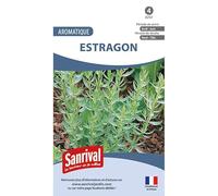 Graines Estragon