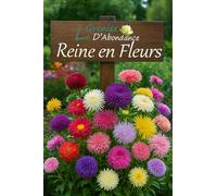 Graines faciles à semer - Reine en Fleurs - 8 Marguerites variées - Kit jardin débutant - Le Grenier d’Abondance