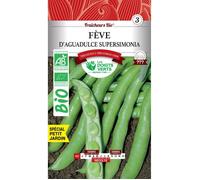 Graines fèves d'Aguadulce Supersimonia BIO Les Doigts Verts 30g