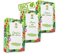 Graines Graines de légumes Set de graines de légumes 32 pièces Graines de légumes Mix Courgette Pastèque Fraise Rucola Épinards