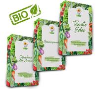 Graines Graines de légumes Set de graines de légumes 32 pièces Graines de légumes Mix tomates poivrons concombre haricots jaunes oignons courgettes