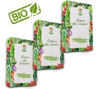Graines Graines de légumes Set de graines de légumes 33 pièces Graines de légumes Mix Chou Épinard Oignon Chou-fleur Carotte