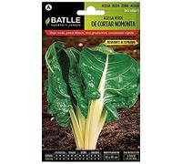 Graines horticoles de Batlle - Bette verte Nomonta (10g)