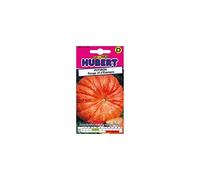 GRAINES HUBERT Sachet de 4G de Potiron Rouge d'Etampes 226
