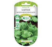 Graines laitue batavia reine des glaces BIO Les Doigts Verts